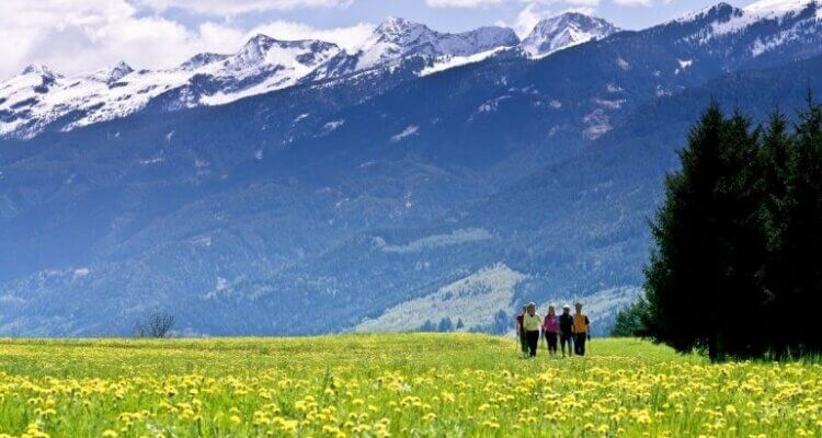 Blühende Alpen Trentino